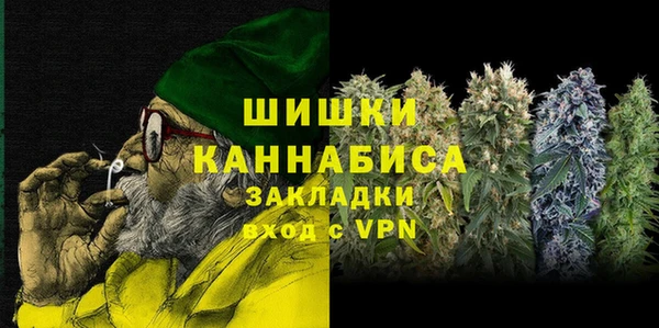 ГАЛЛЮЦИНОГЕННЫЕ ГРИБЫ Тавда