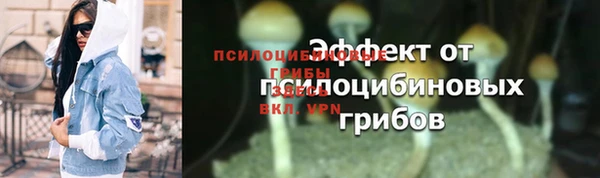 ГАЛЛЮЦИНОГЕННЫЕ ГРИБЫ Тавда