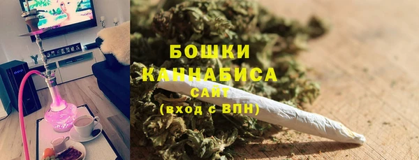 ГАЛЛЮЦИНОГЕННЫЕ ГРИБЫ Тавда