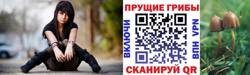 Галлюциногенные грибы прущие грибы  Саратов 